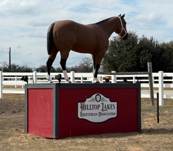 Million Dollar Views of Hilltop Lakes and an 18-hole Golf Course - image 45