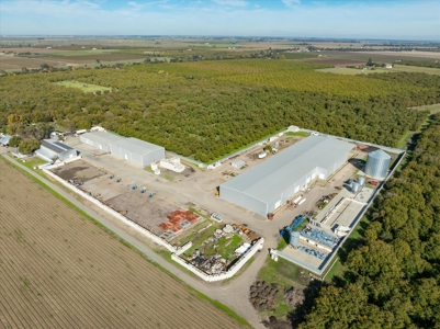 Processing Facilities & Organic Orchard, Houses For Sale in CA - image 49