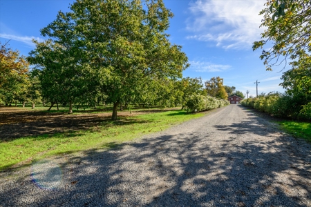 Processing Facilities & Organic Orchard, Houses For Sale in CA - image 46