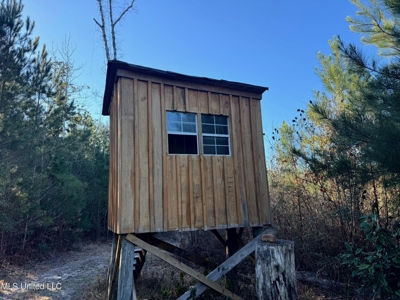South MS Camp and Land Bordering the National Forest - image 29