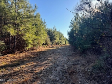 Listing 124