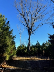 Listing 124