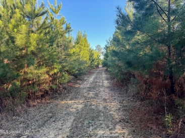 Listing 124