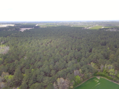 OK Farms of Cedar Creek Hog Farm and Land For Sale - image 26