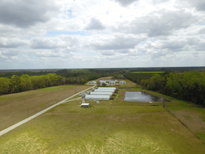 OK Farms of Cedar Creek Hog Farm and Land For Sale - image 27
