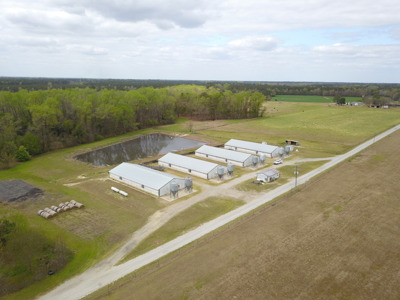 OK Farms of Cedar Creek Hog Farm and Land For Sale - image 29