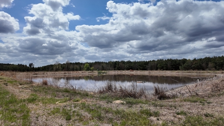 OK Farms of Cedar Creek Hog Farm and Land For Sale - image 11