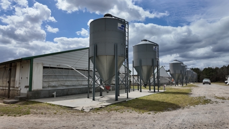 OK Farms of Cedar Creek Hog Farm and Land For Sale - image 8