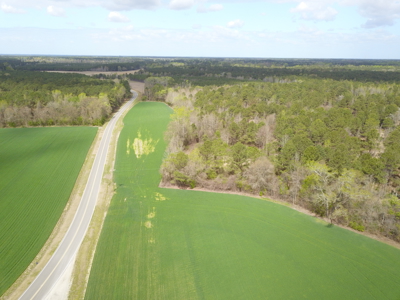 OK Farms of Cedar Creek Hog Farm and Land For Sale - image 24