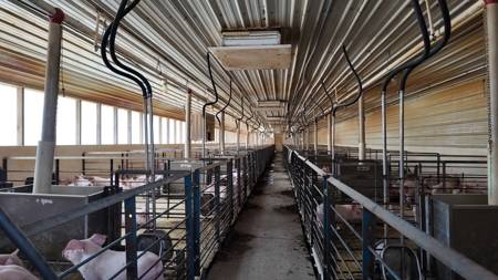 OK Farms of Cedar Creek Hog Farm and Land For Sale - image 12