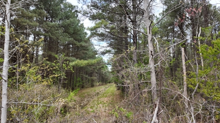 OK Farms of Cedar Creek Hog Farm and Land For Sale - image 19