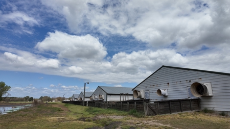 OK Farms of Cedar Creek Hog Farm and Land For Sale - image 15