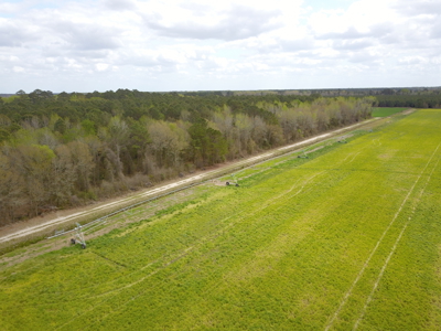 OK Farms of Cedar Creek Hog Farm and Land For Sale - image 34