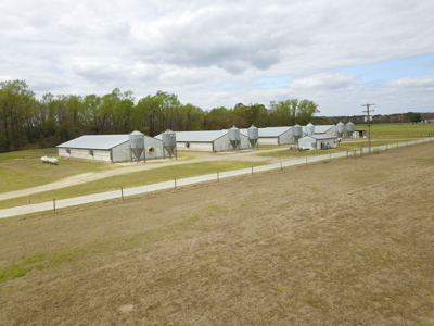 OK Farms of Cedar Creek Hog Farm and Land For Sale - image 31