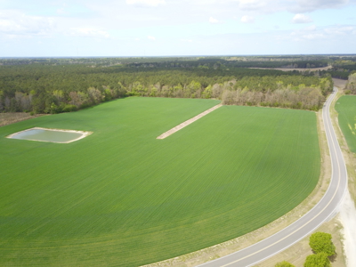 OK Farms of Cedar Creek Hog Farm and Land For Sale - image 23