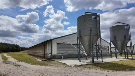 OK Farms of Cedar Creek Hog Farm and Land For Sale - image 9