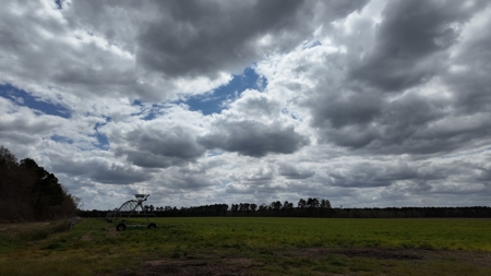 OK Farms of Cedar Creek Hog Farm and Land For Sale - image 18