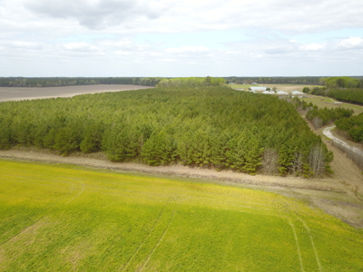 OK Farms of Cedar Creek Hog Farm and Land For Sale - image 33