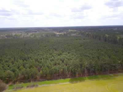 OK Farms of Cedar Creek Hog Farm and Land For Sale - image 36