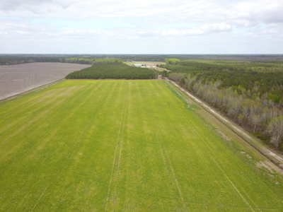 OK Farms of Cedar Creek Hog Farm and Land For Sale - image 38