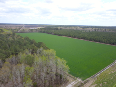 OK Farms of Cedar Creek Hog Farm and Land For Sale - image 35