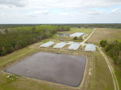 OK Farms of Cedar Creek Hog Farm and Land For Sale - image 28