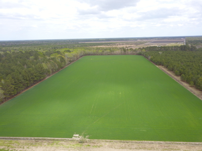 OK Farms of Cedar Creek Hog Farm and Land For Sale - image 37