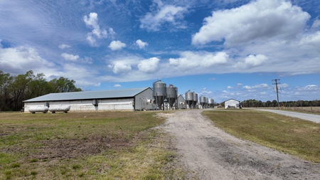 OK Farms of Cedar Creek Hog Farm and Land For Sale - image 14
