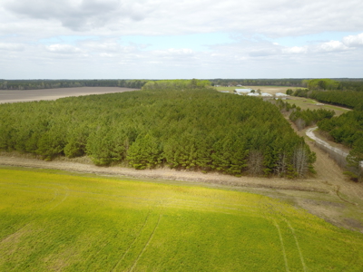 OK Farms of Cedar Creek Hog Farm and Land For Sale - image 32