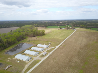 OK Farms of Cedar Creek Hog Farm and Land For Sale - image 30