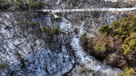 Exceptional 74± Acre Recreational Property | Jackson County, WI - image 27
