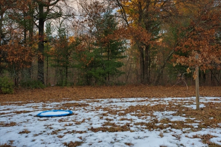 Exceptional 74± Acre Recreational Property | Jackson County, WI - image 17