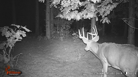 Exceptional 74± Acre Recreational Property | Jackson County, WI - image 44