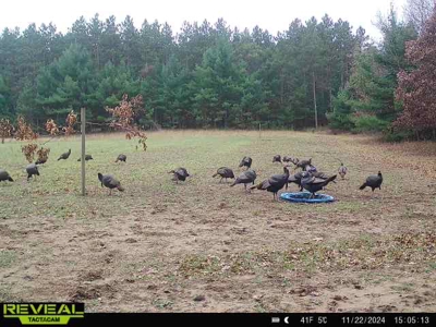 Exceptional 74± Acre Recreational Property | Jackson County, WI - image 24