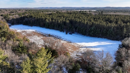 Exceptional 74± Acre Recreational Property | Jackson County, WI - image 6