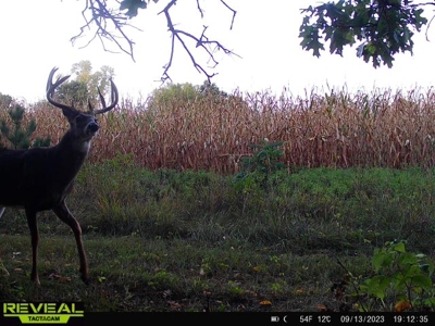 Exceptional 74± Acre Recreational Property | Jackson County, WI - image 28