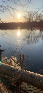 Exceptional 74± Acre Recreational Property | Jackson County, WI - image 23