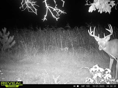 Exceptional 74± Acre Recreational Property | Jackson County, WI - image 35