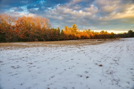 Exceptional 74± Acre Recreational Property | Jackson County, WI - image 10