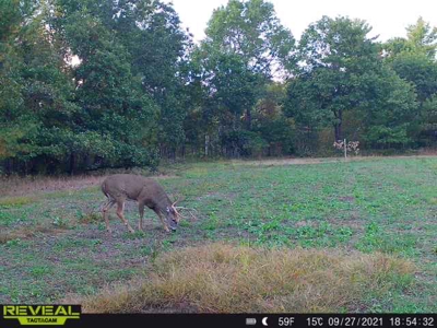 Exceptional 74± Acre Recreational Property | Jackson County, WI - image 18