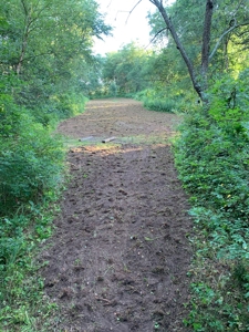 Exceptional 74± Acre Recreational Property | Jackson County, WI - image 15