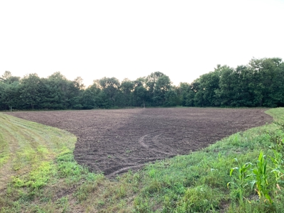 Exceptional 74± Acre Recreational Property | Jackson County, WI - image 7