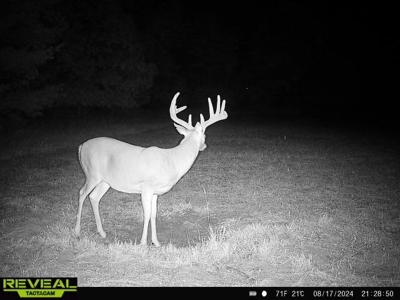 Exceptional 74± Acre Recreational Property | Jackson County, WI - image 11