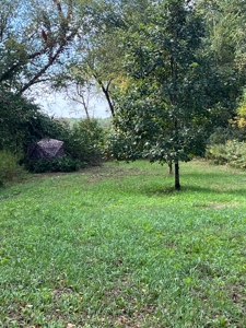 Exceptional 74± Acre Recreational Property | Jackson County, WI - image 36