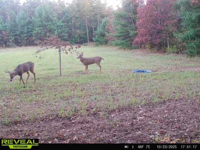 Exceptional 74± Acre Recreational Property | Jackson County, WI - image 5