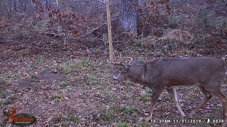 Exceptional 74± Acre Recreational Property | Jackson County, WI - image 45