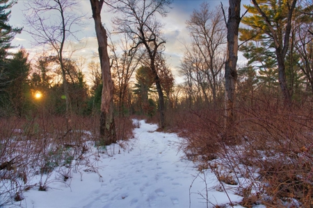 Exceptional 74± Acre Recreational Property | Jackson County, WI - image 13