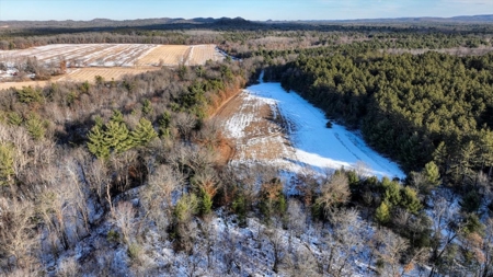 Exceptional 74± Acre Recreational Property | Jackson County, WI - image 1