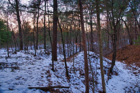 Exceptional 74± Acre Recreational Property | Jackson County, WI - image 12