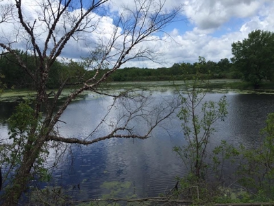 Exceptional 74± Acre Recreational Property | Jackson County, WI - image 46